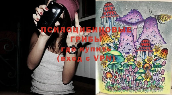 эйфоретик Балахна