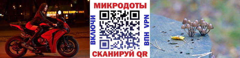 omg tor  сколько стоит  Благодарный  Галлюциногенные грибы ЛСД 