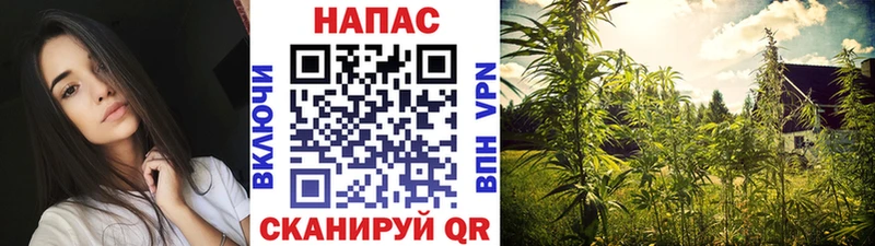 Бошки Шишки Amnesia Благодарный